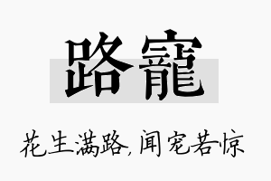 路宠名字的寓意及含义