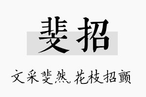 斐招名字的寓意及含义