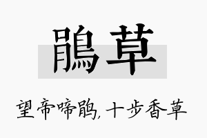 鹃草名字的寓意及含义