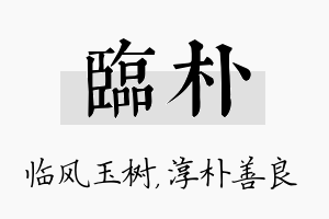 临朴名字的寓意及含义