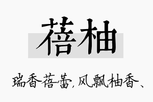 蓓柚名字的寓意及含义