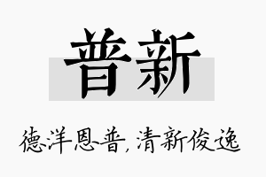 普新名字的寓意及含义