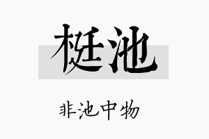 梃池名字的寓意及含义