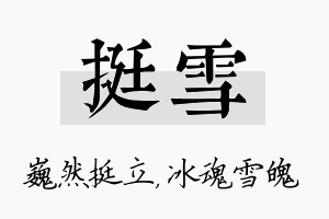 挺雪名字的寓意及含义