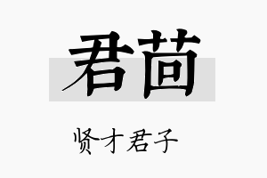 君茴名字的寓意及含义