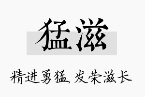 猛滋名字的寓意及含义