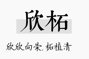 欣柘名字的寓意及含义