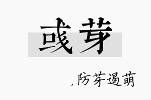 彧芽名字的寓意及含义