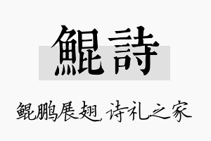 鲲诗名字的寓意及含义