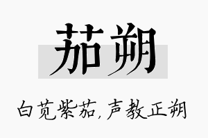 茄朔名字的寓意及含义