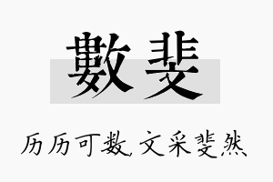 数斐名字的寓意及含义