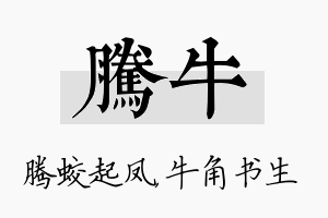 腾牛名字的寓意及含义