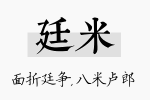 廷米名字的寓意及含义