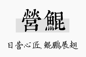 营鲲名字的寓意及含义