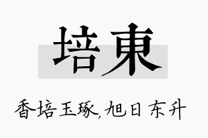 培东名字的寓意及含义