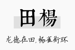 田杨名字的寓意及含义