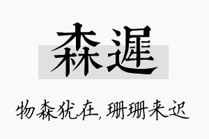 森迟名字的寓意及含义