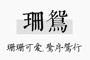 珊鸳名字的寓意及含义