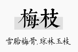 梅枝名字的寓意及含义