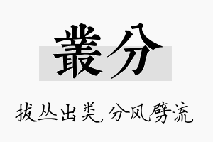 丛分名字的寓意及含义