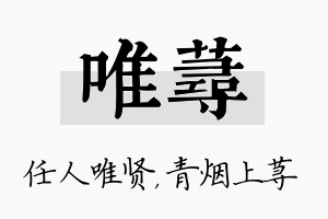 唯荨名字的寓意及含义