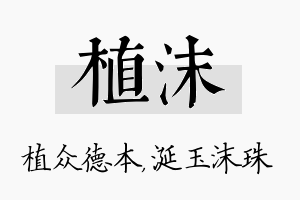 植沫名字的寓意及含义