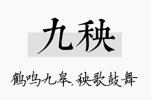 九秧名字的寓意及含义