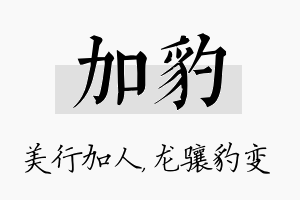 加豹名字的寓意及含义