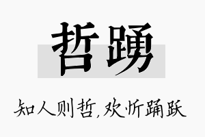 哲踊名字的寓意及含义