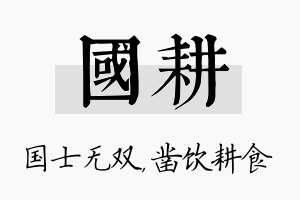 国耕名字的寓意及含义