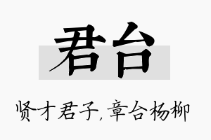 君台名字的寓意及含义