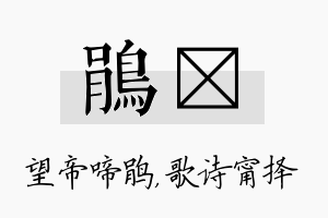 鹃甯名字的寓意及含义