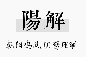 阳解名字的寓意及含义