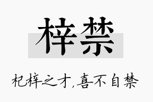 梓禁名字的寓意及含义