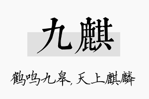 九麒名字的寓意及含义