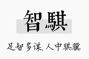 智骐名字的寓意及含义