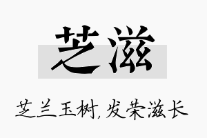 芝滋名字的寓意及含义