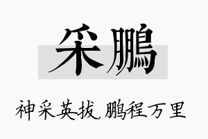 采鹏名字的寓意及含义