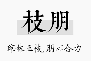 枝朋名字的寓意及含义