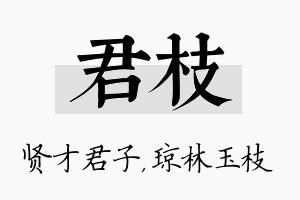 君枝名字的寓意及含义