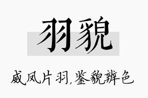 羽貌名字的寓意及含义