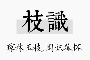 枝识名字的寓意及含义