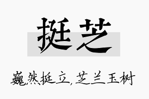 挺芝名字的寓意及含义