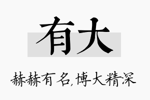 有大名字的寓意及含义