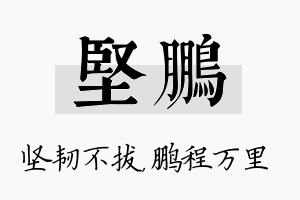 坚鹏名字的寓意及含义