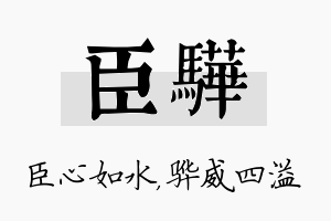 臣骅名字的寓意及含义