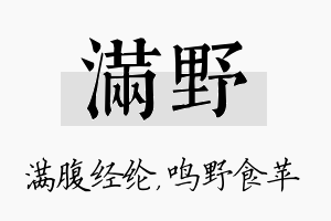 满野名字的寓意及含义