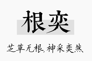 根奕名字的寓意及含义