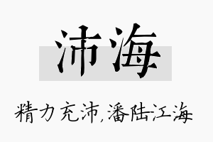 沛海名字的寓意及含义