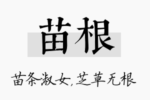 苗根名字的寓意及含义